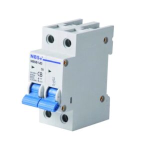 6 Amp /10 Amp /16 Amp Double Pole MCB