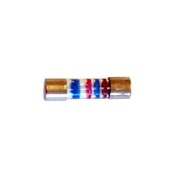Truma UltraStore 3 Fuse 1.6 Amp - 70000-07100